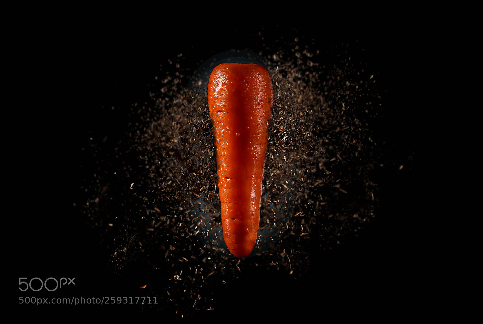 Canon EOS 6D sample photo. A carrot photography