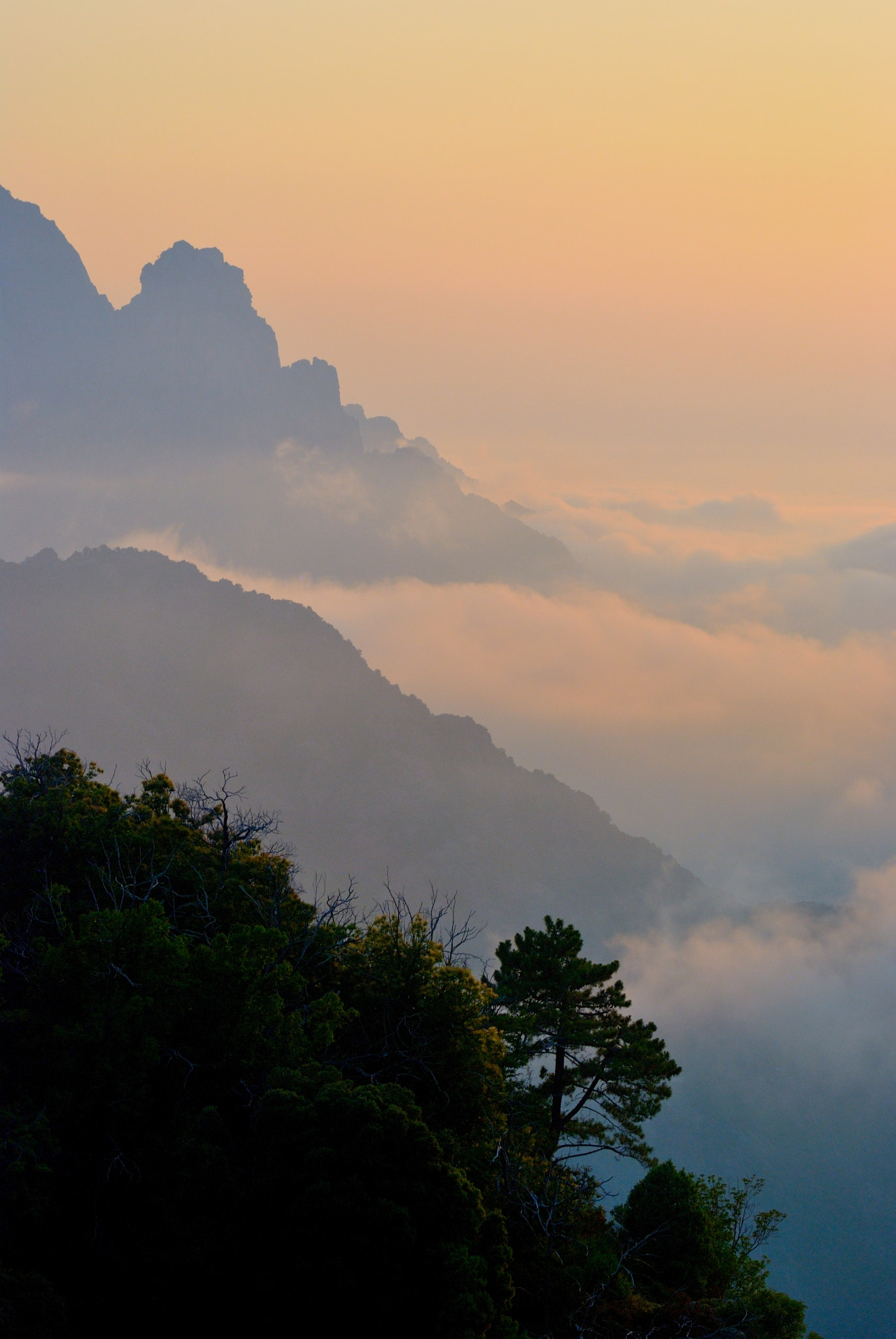 Nikon D80 sample photo. Corse / corsica photography