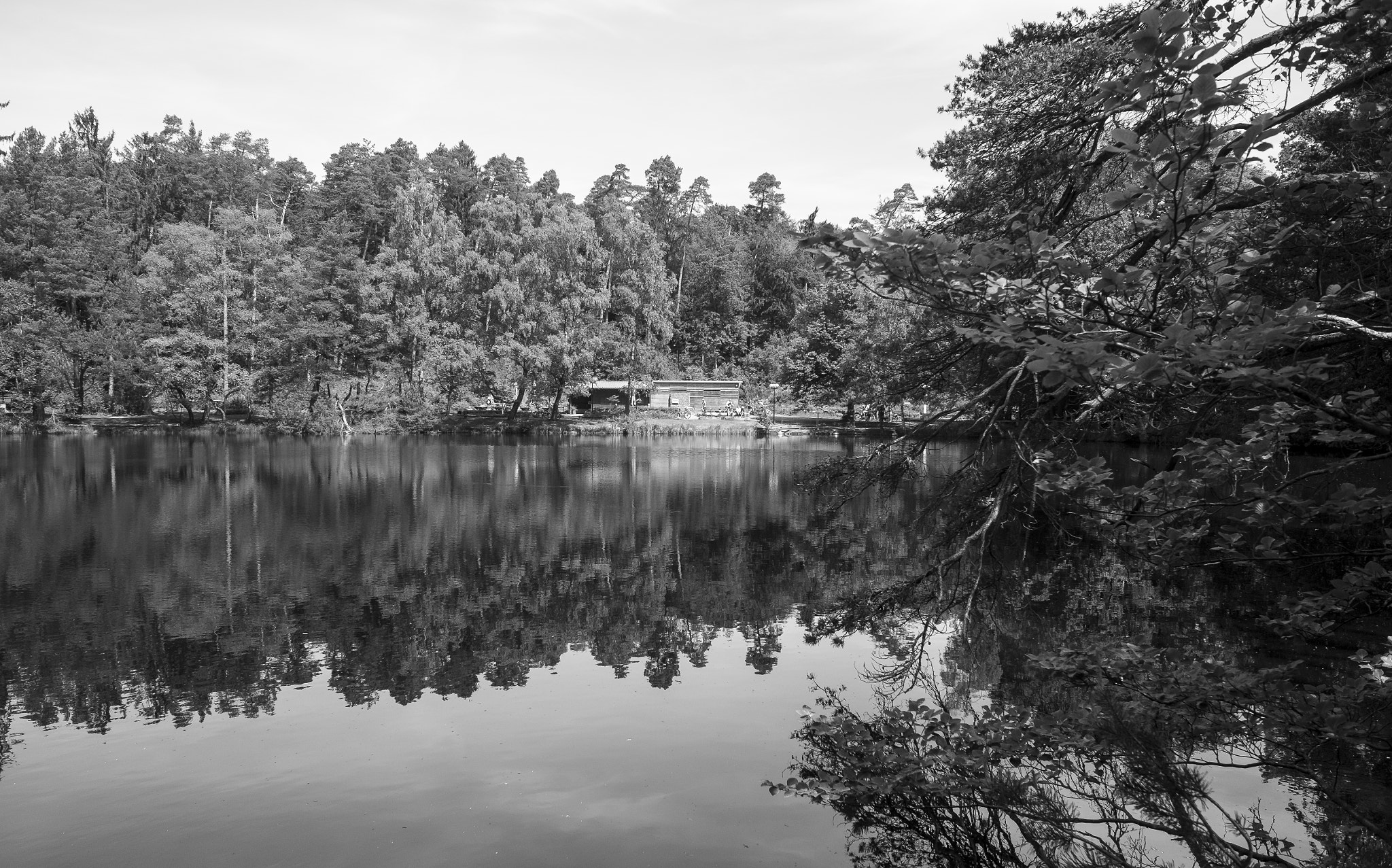 Fujifilm X70 sample photo. A sunny afternoon at the lake photography