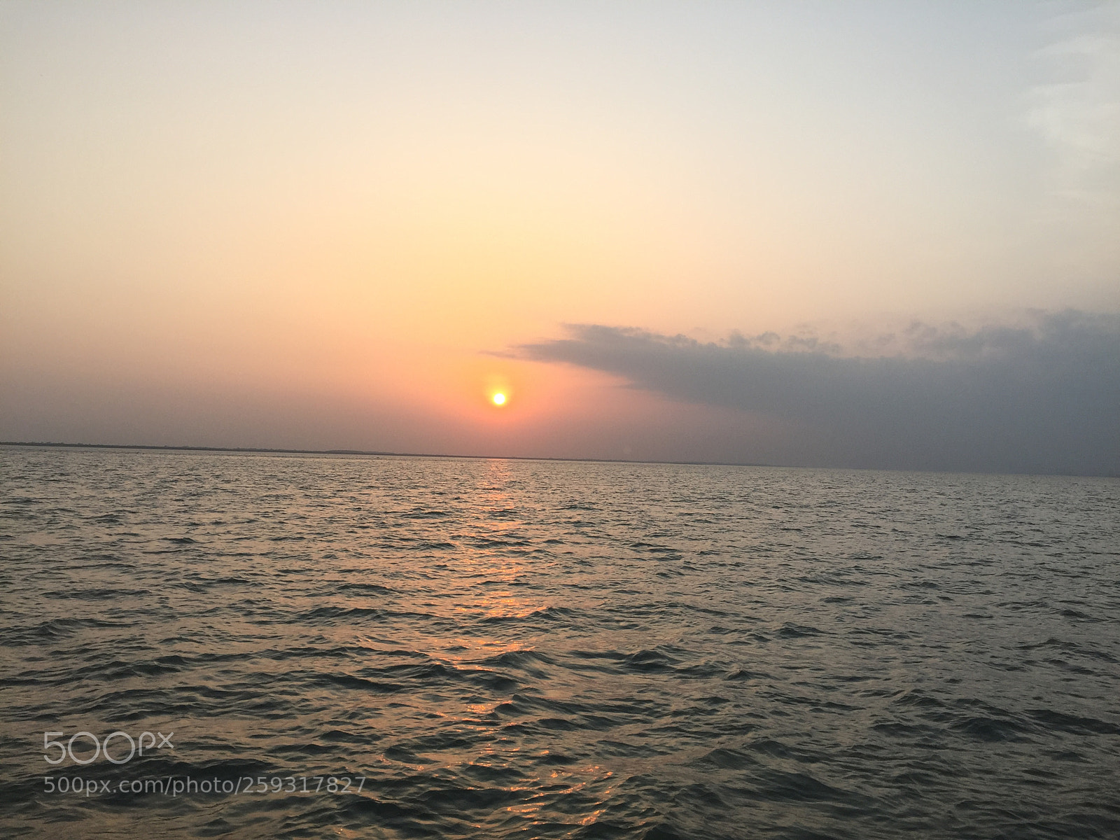 Apple iPhone 6 sample photo. Img photography