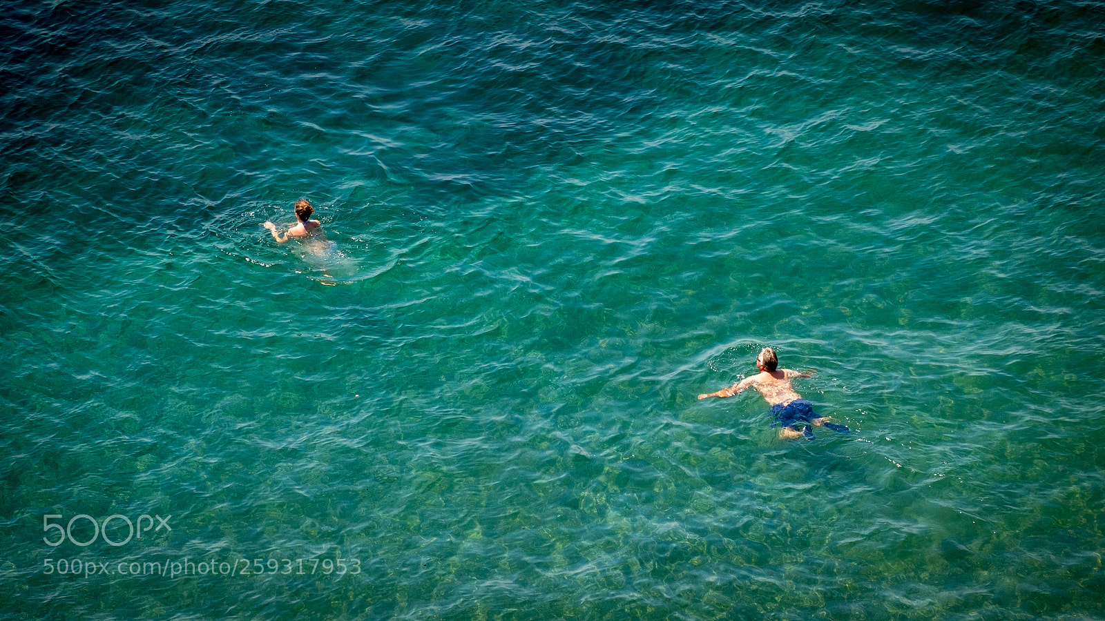Fujifilm X-Pro1 sample photo. Lizard swimmers photography