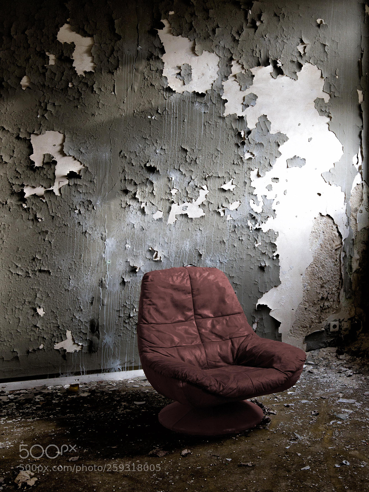 Canon EOS 5D Mark IV sample photo. Take a seat photography