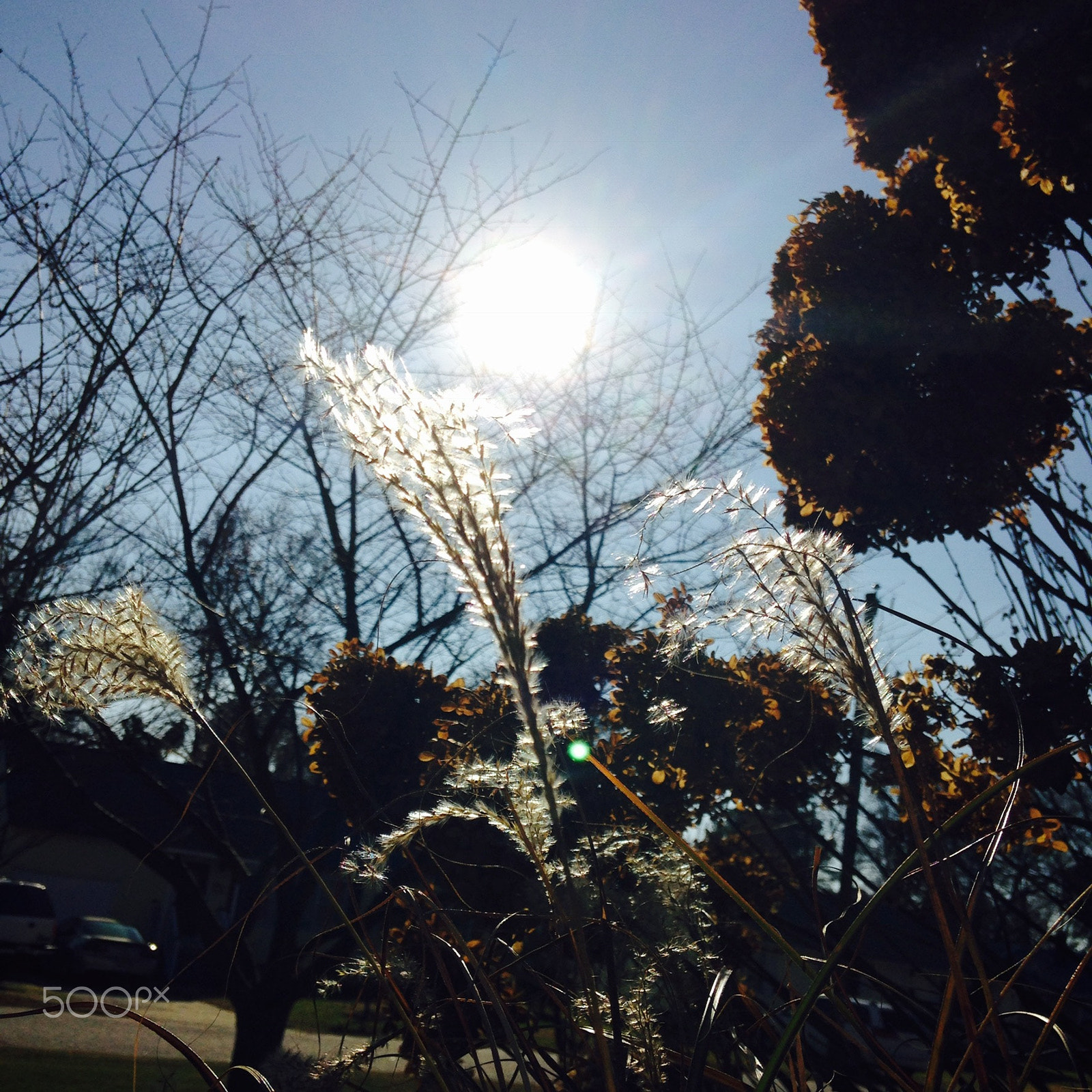 Apple iPhone 5c sample photo. Ffdeaeacfdd photography