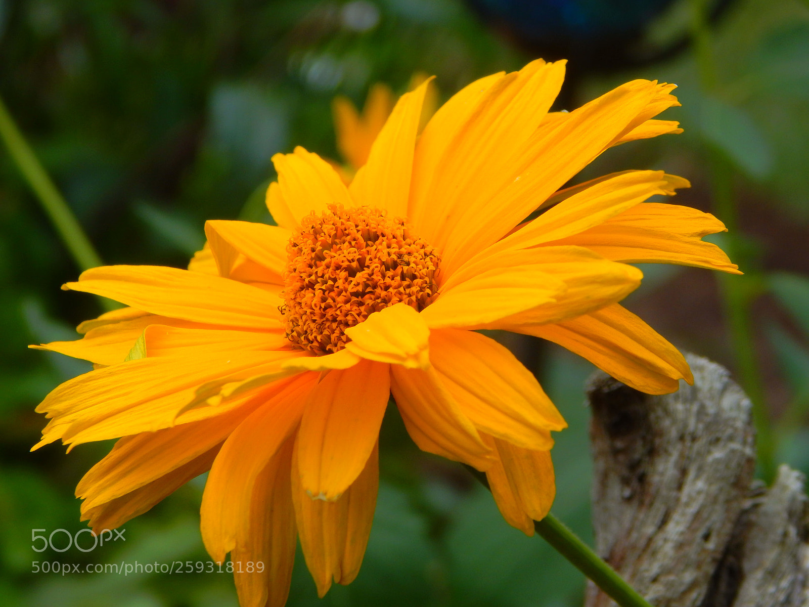 Nikon Coolpix L830 sample photo. Bedabd c photography
