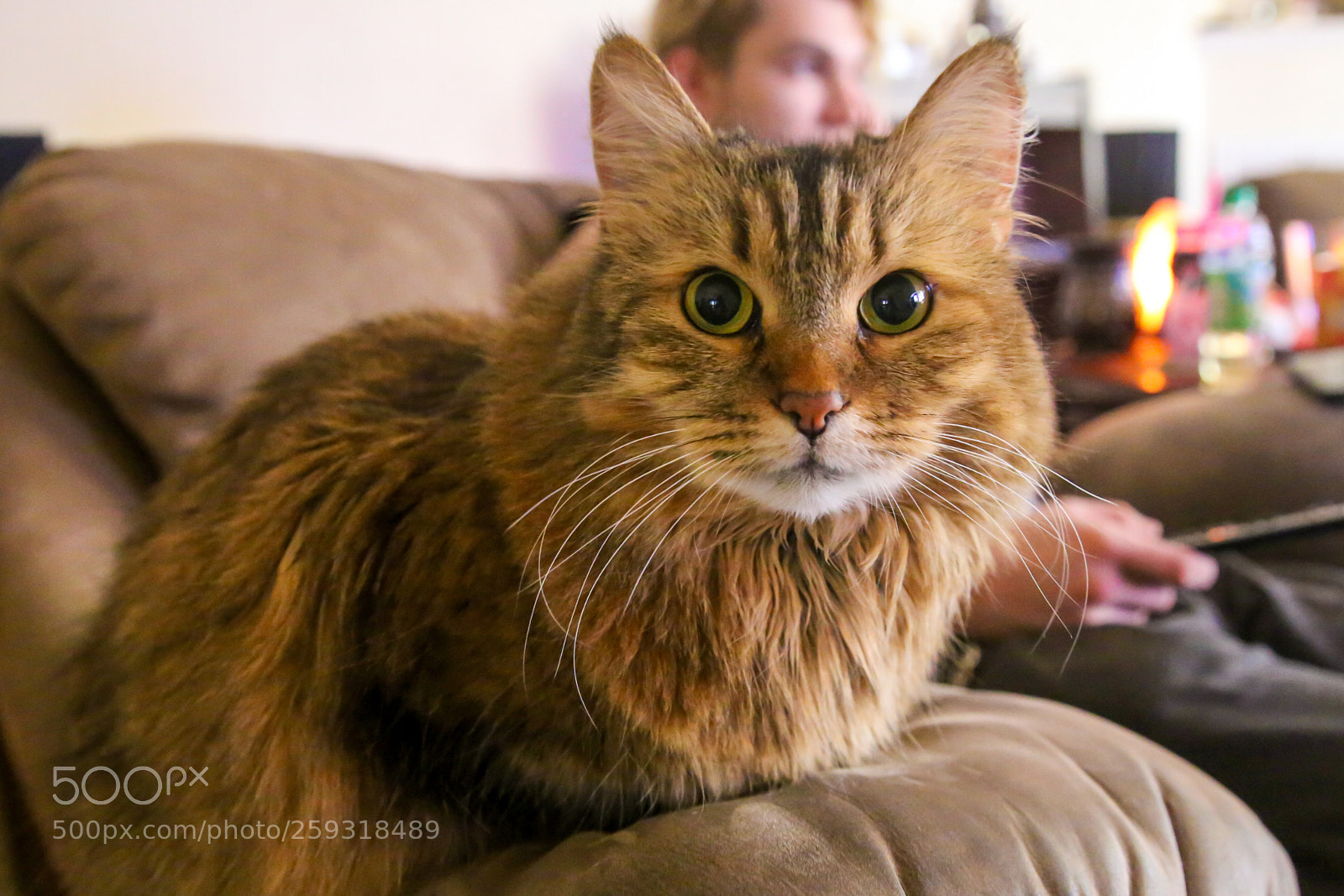 Canon EOS 6D sample photo. Akiivaaaaaa photography