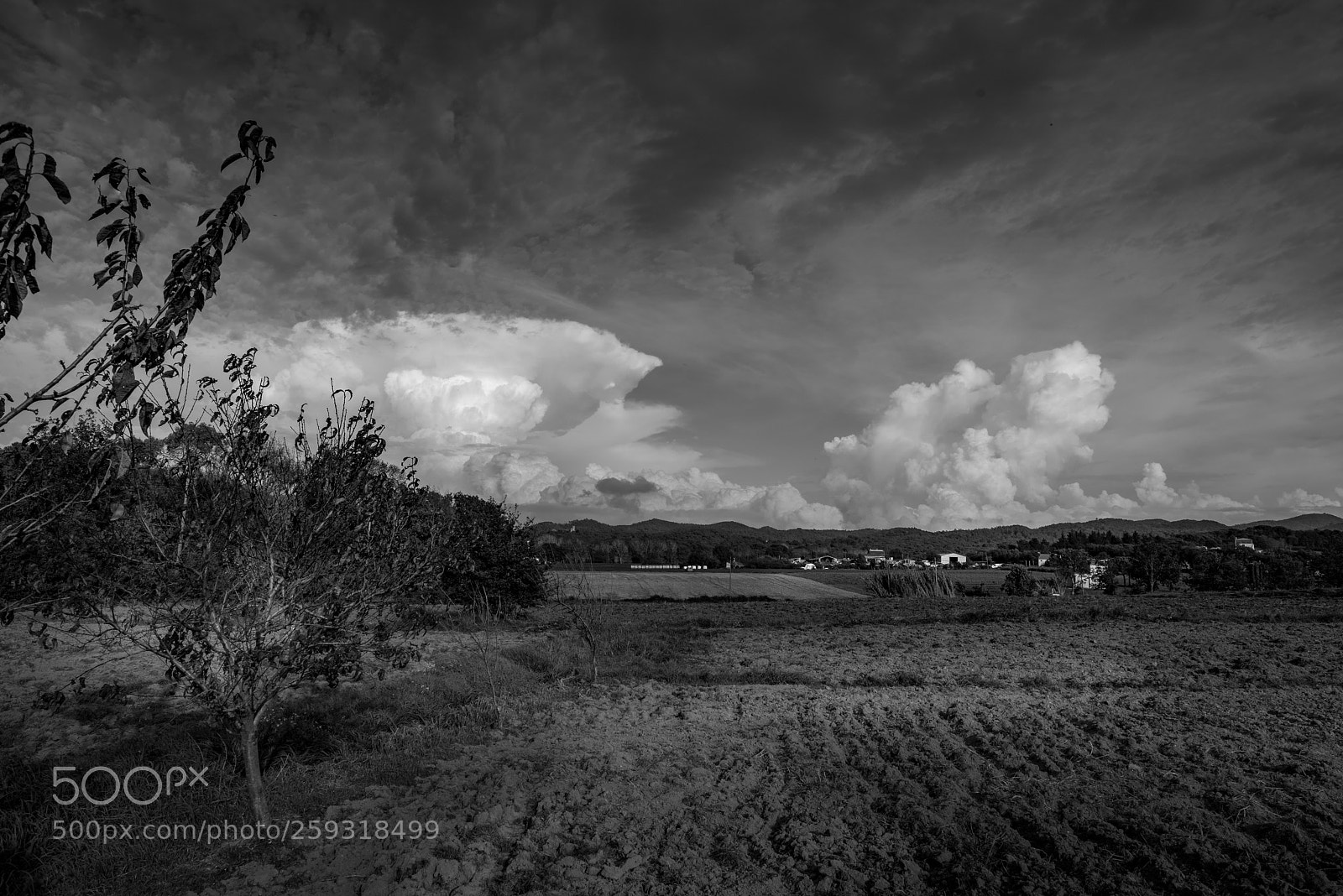 Nikon D800 sample photo. Clouds photography