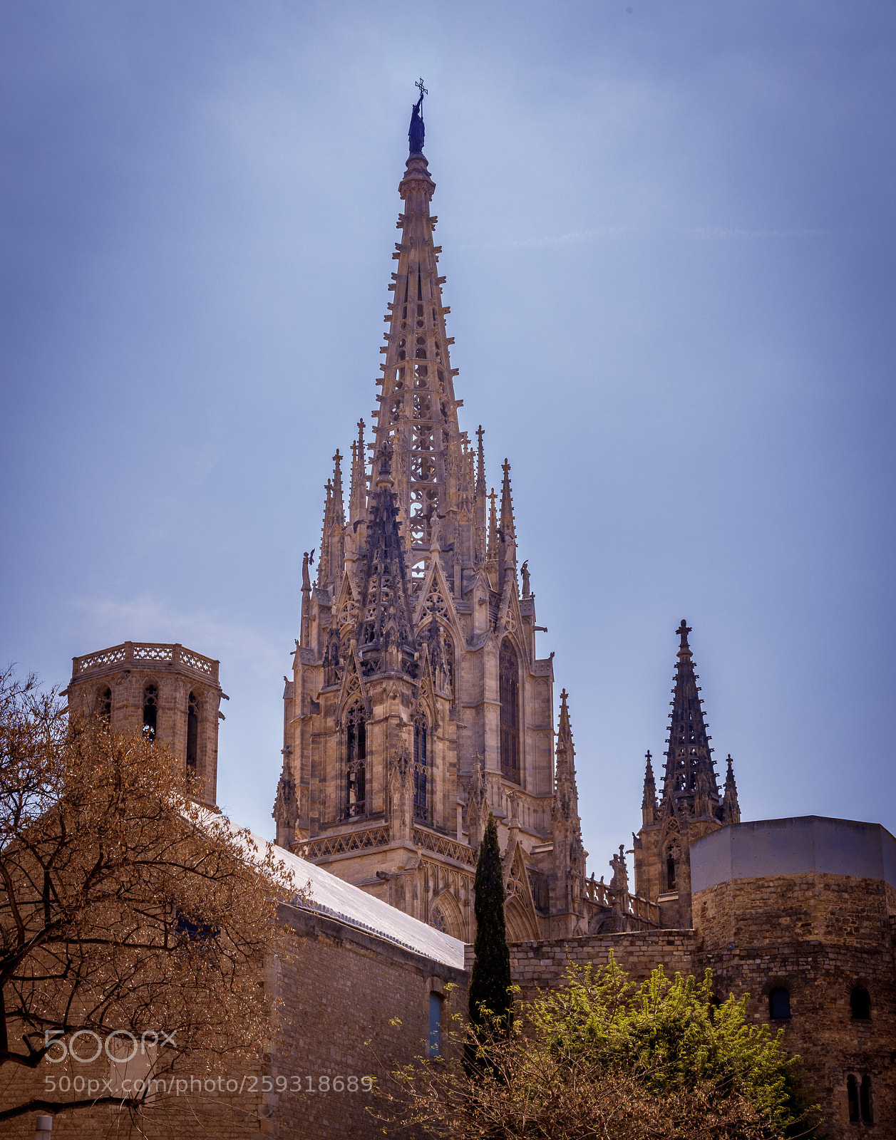 Nikon D850 sample photo. Barcelona cathedral photography
