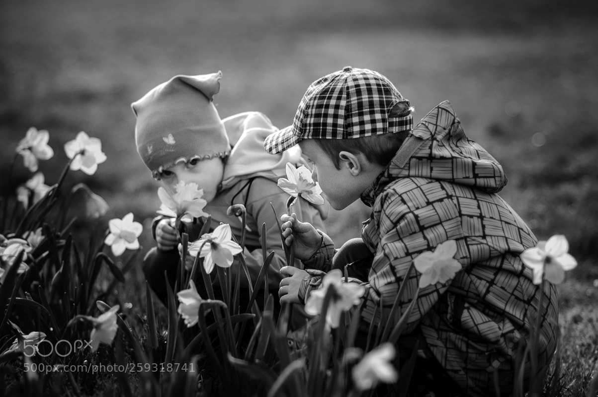Nikon D70 sample photo. Stories of brother and photography