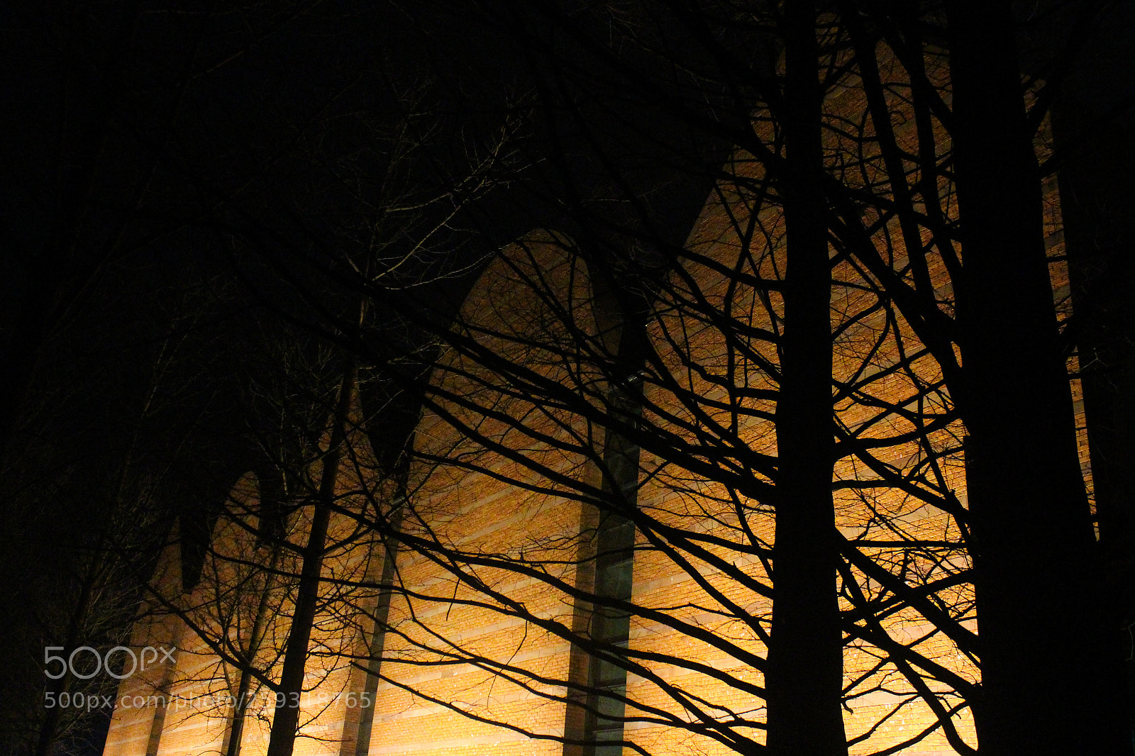 Canon EOS 700D (EOS Rebel T5i / EOS Kiss X7i) sample photo. Bewitched after dark . salem photography