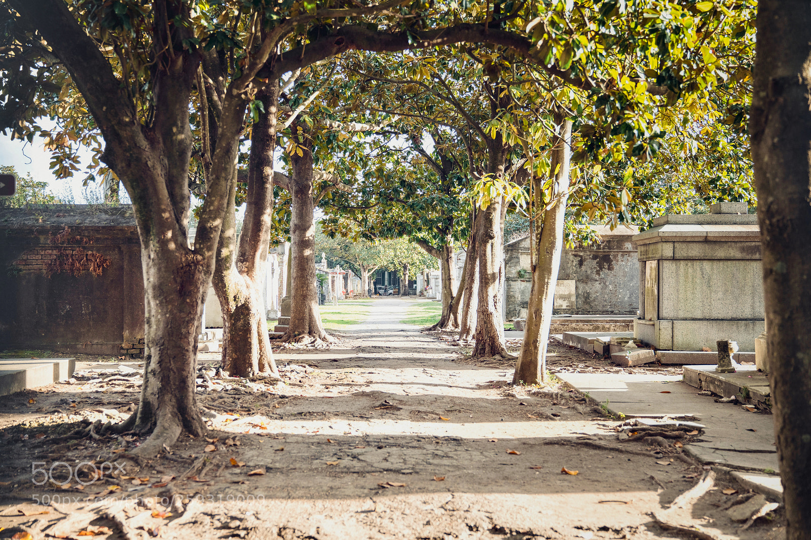 Sony a7R II sample photo. Lafayette cemetery no. 1 photography