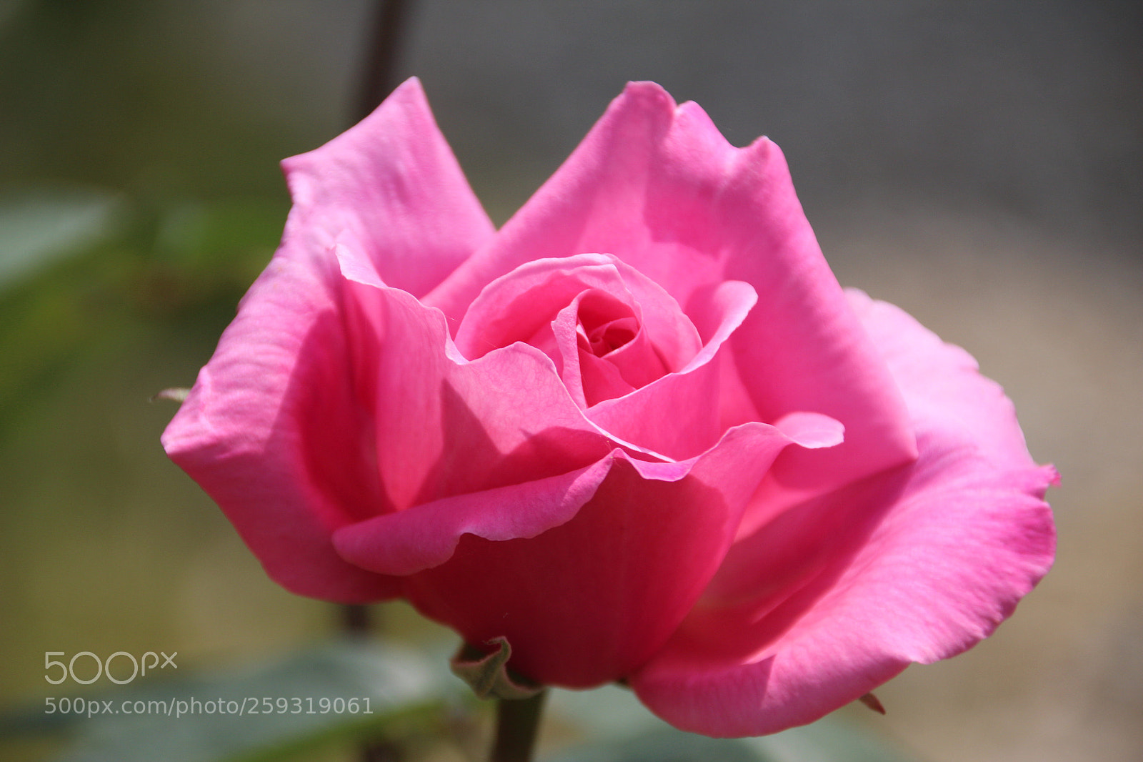 Canon EOS 600D (Rebel EOS T3i / EOS Kiss X5) sample photo. Aveu photography