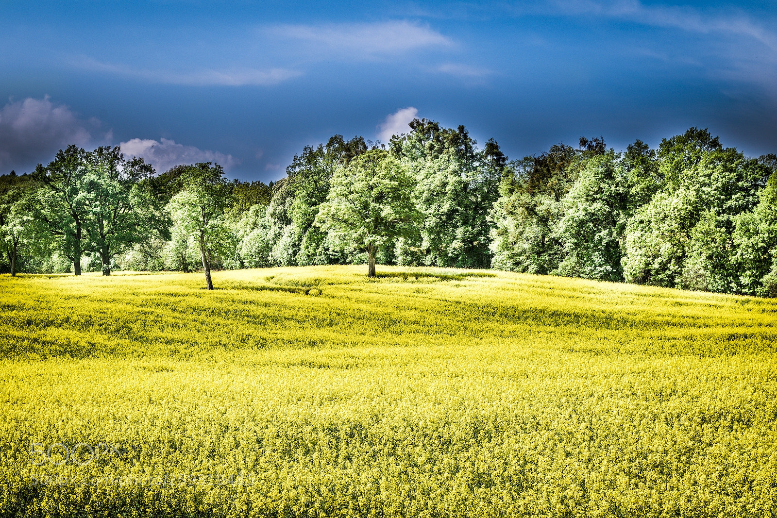 Pentax K-S2 sample photo. Fields and forests photography