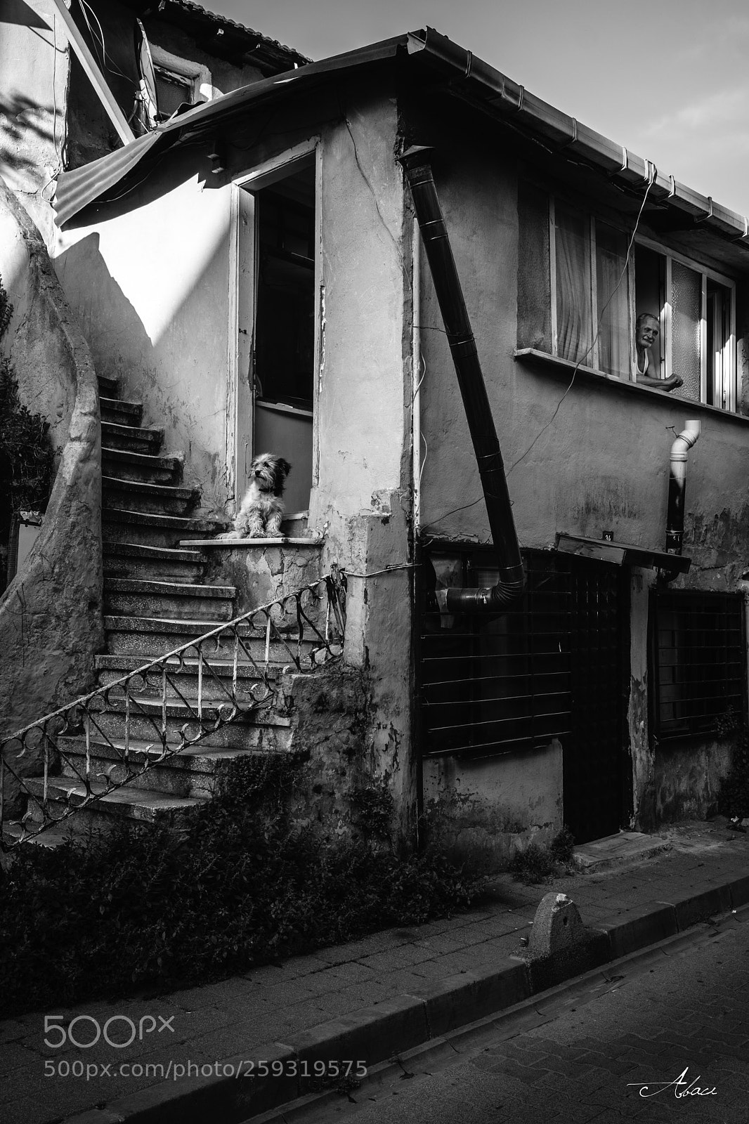 Fujifilm X-T2 sample photo. Haushälter photography