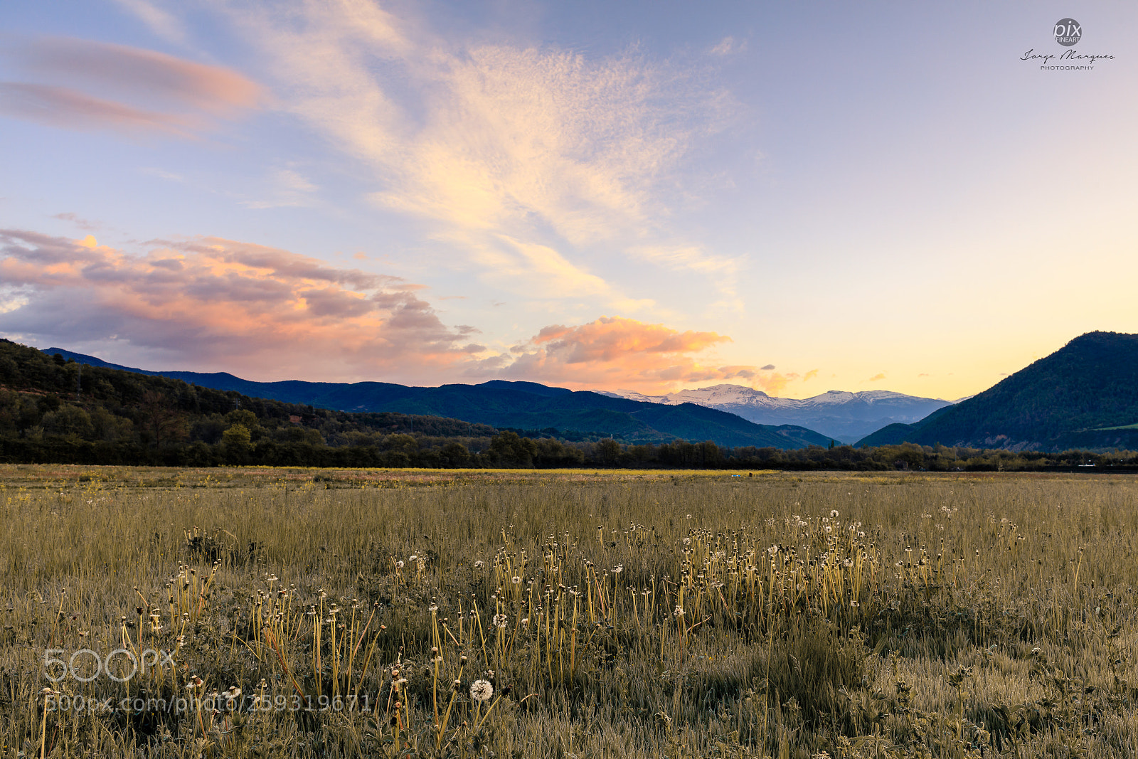 Canon EOS 5DS sample photo. Lan0205 photography