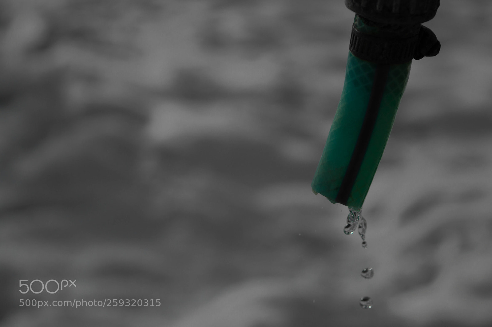 Nikon D3200 sample photo. Drops photography