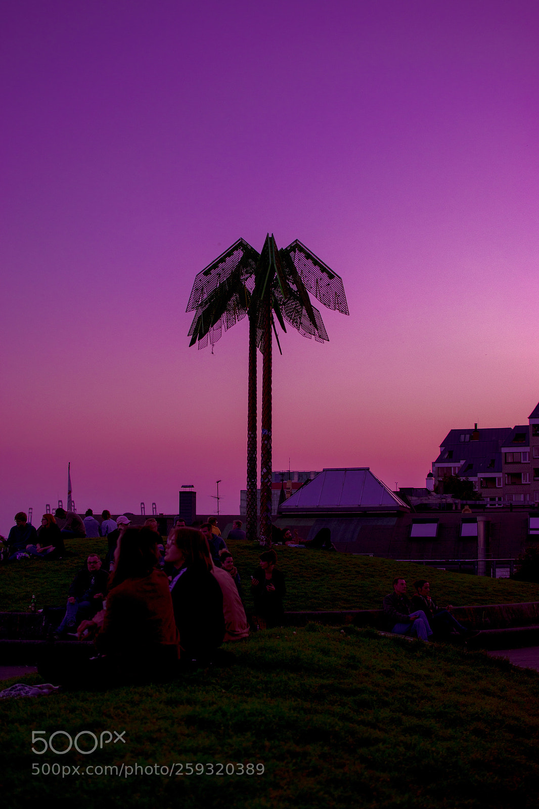 Nikon D3300 sample photo. Pink dream. photography