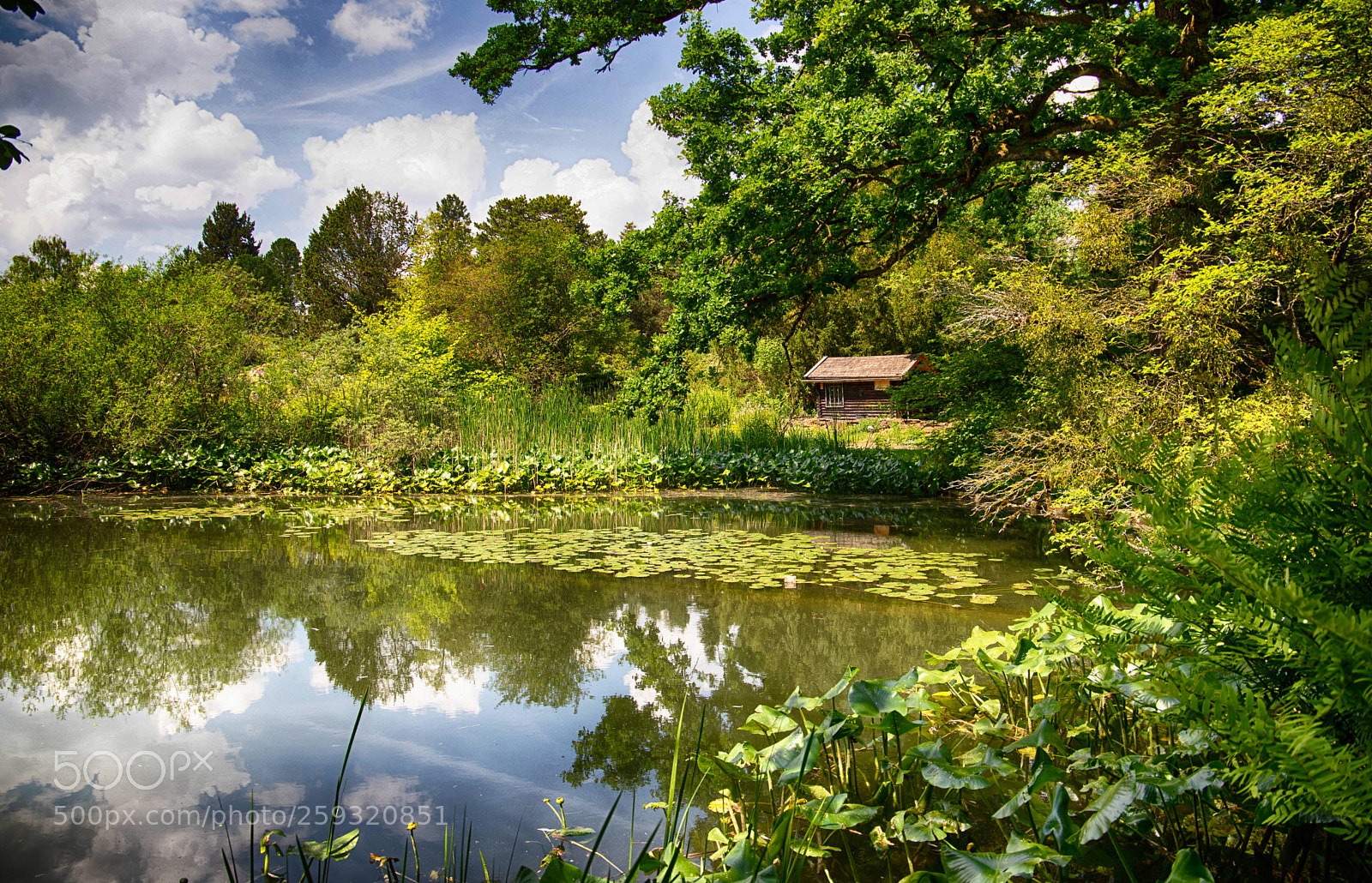 Canon EOS 6D Mark II sample photo. Little cabin photography