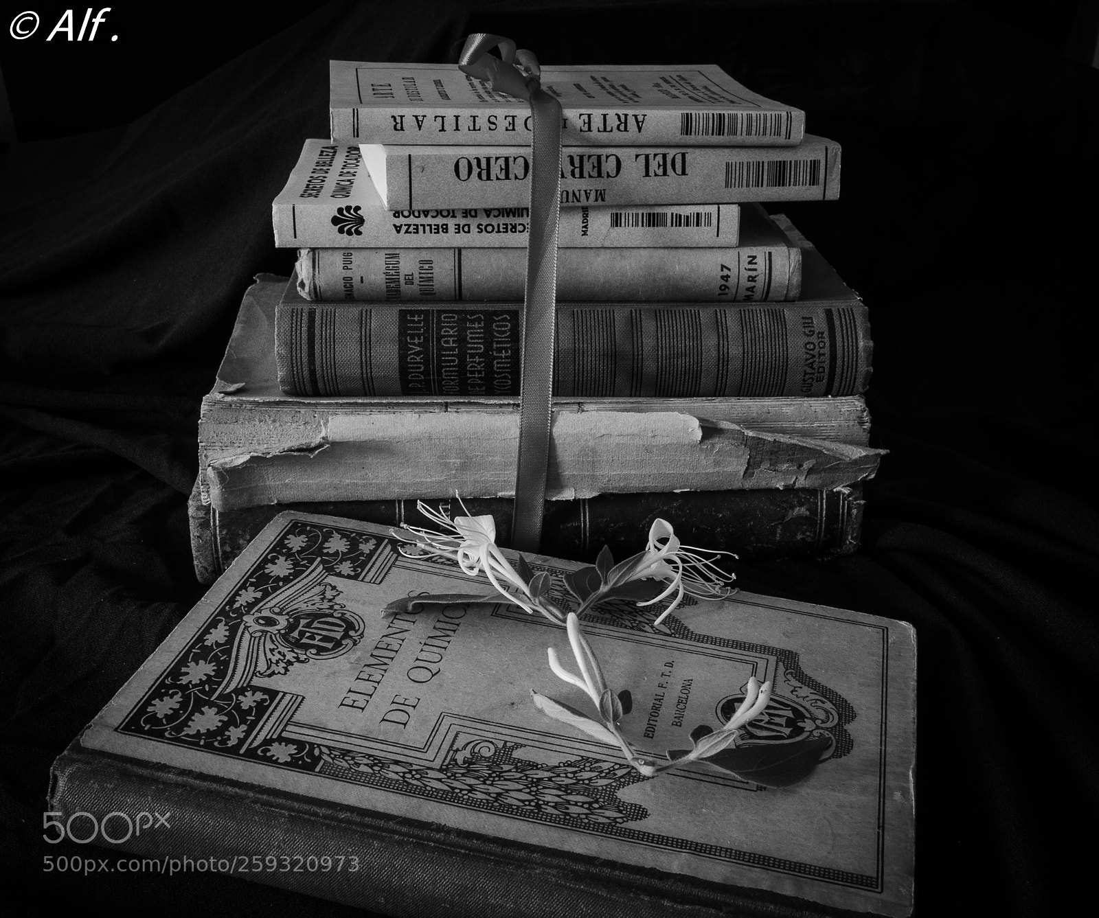 Nikon D5100 sample photo. Books photography