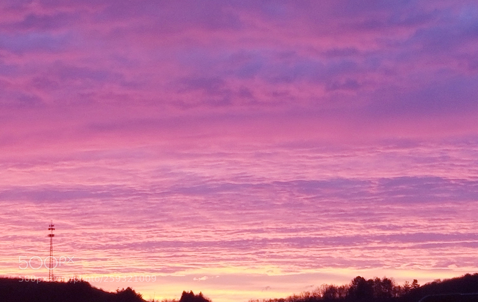 Samsung Galaxy S8 sample photo. Purple haze photography