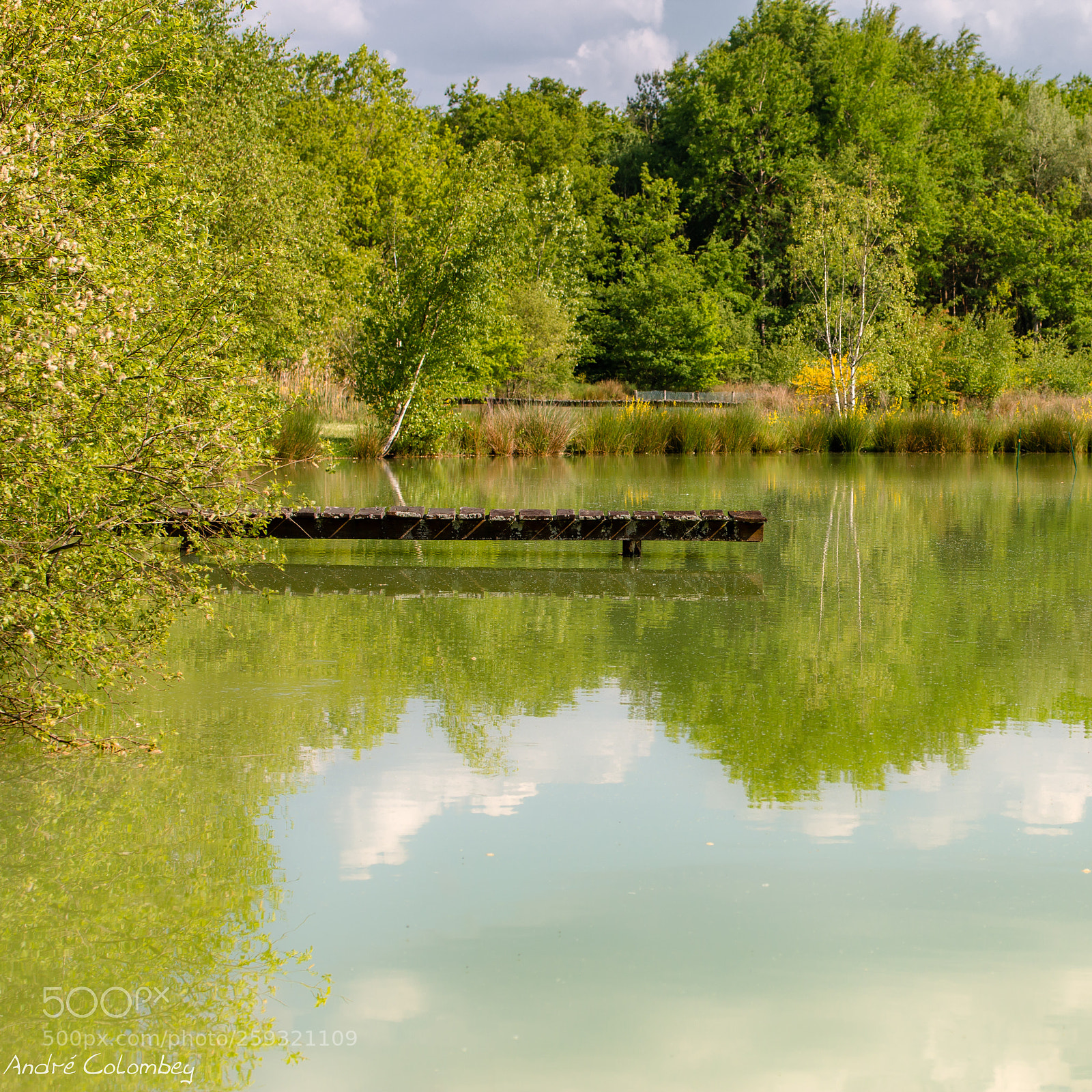 Canon EOS 70D sample photo. Ponton photography