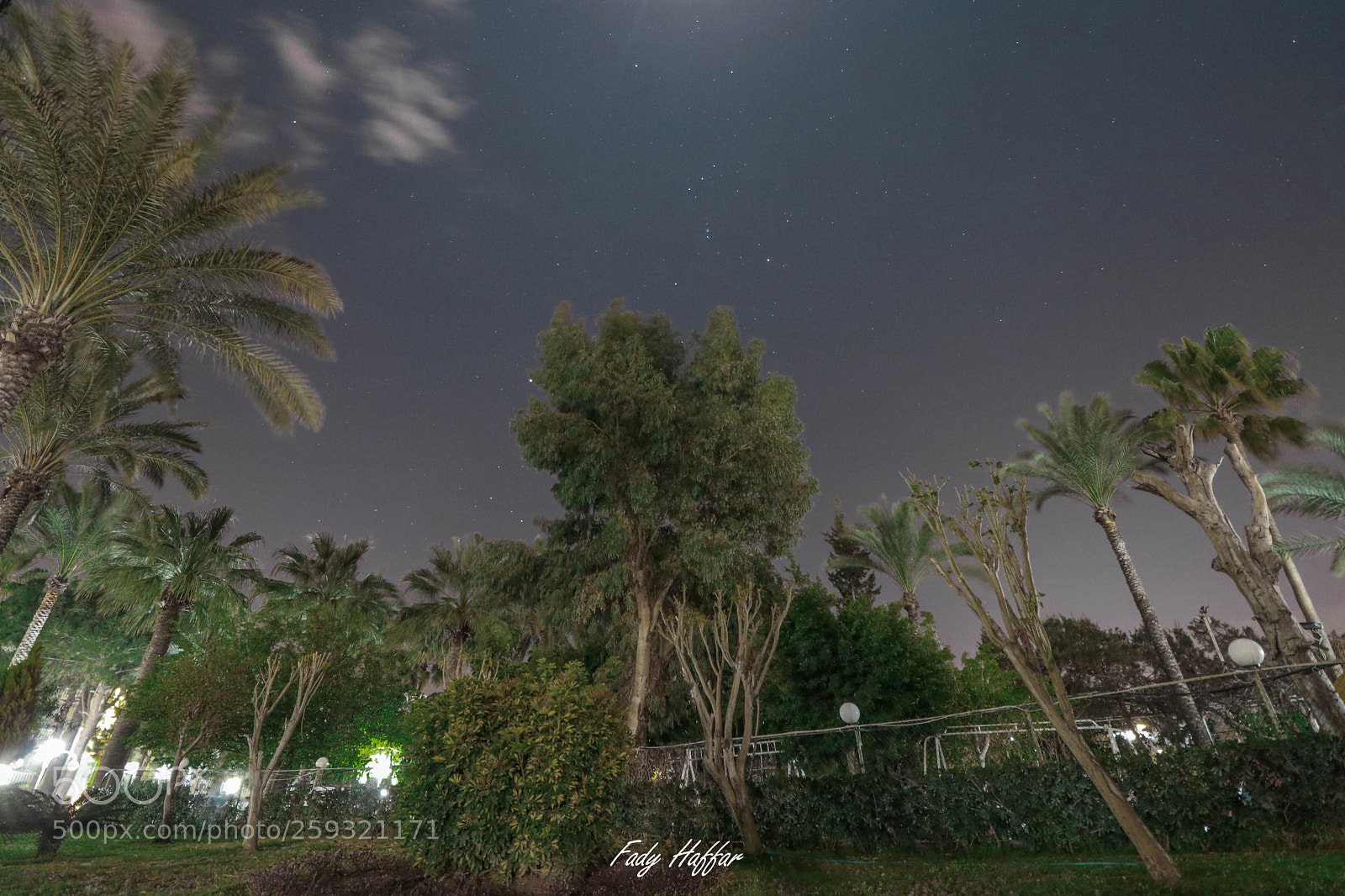 Canon EOS 80D sample photo. Nightview photography