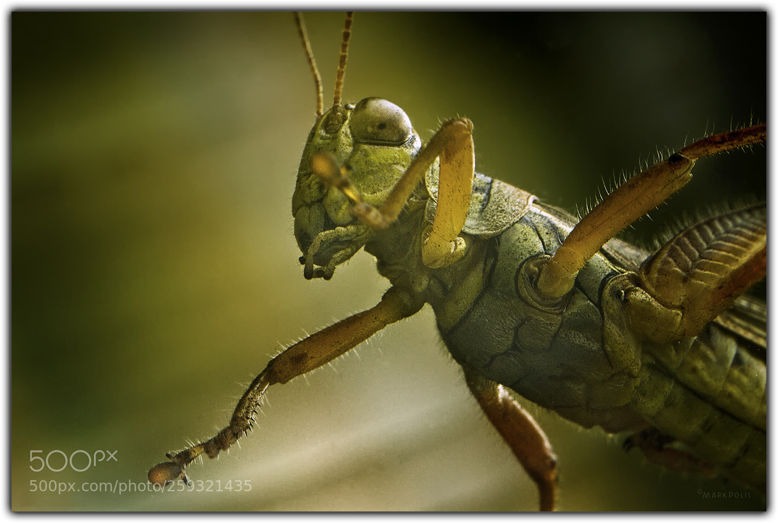 Canon EOS 7D sample photo. Under the glass photography