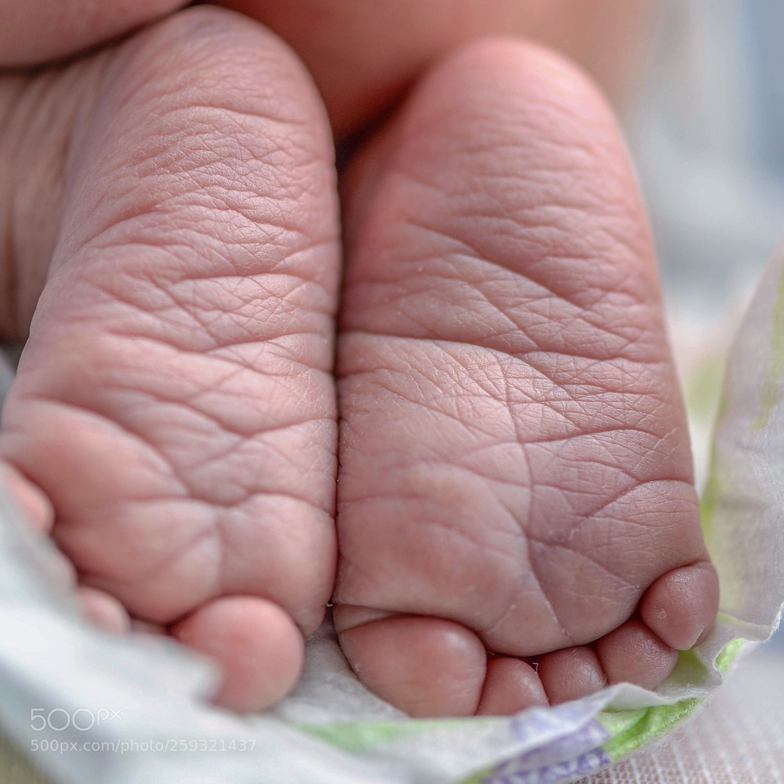 Nikon D610 sample photo. Untitled photography