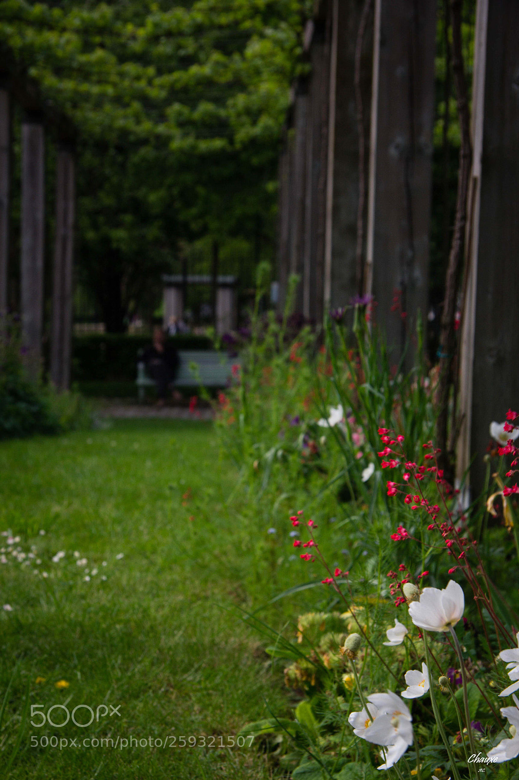 Canon EOS 60D sample photo. Au jardin photography