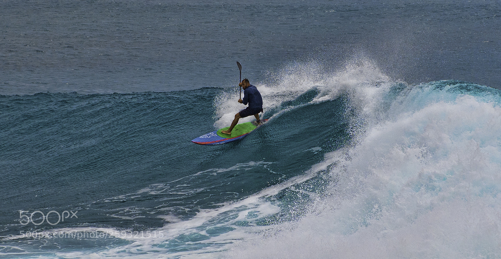 Nikon D850 sample photo. Paddle surfer in maui photography