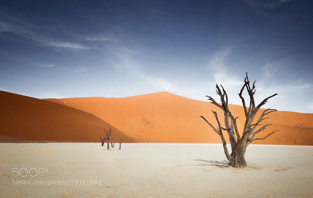 Canon EOS 6D sample photo. Deadvlei photography
