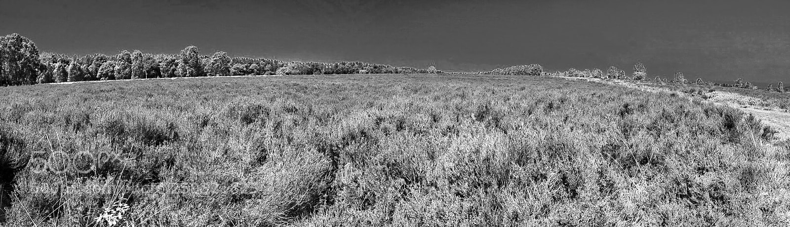 Nikon D7200 sample photo. Looking over the moors photography