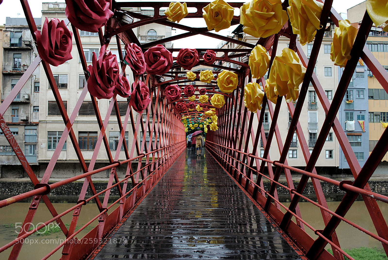 Nikon D3000 sample photo. El puente de hierro photography