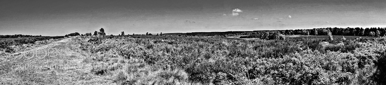Nikon D7200 sample photo. Looking out over the photography