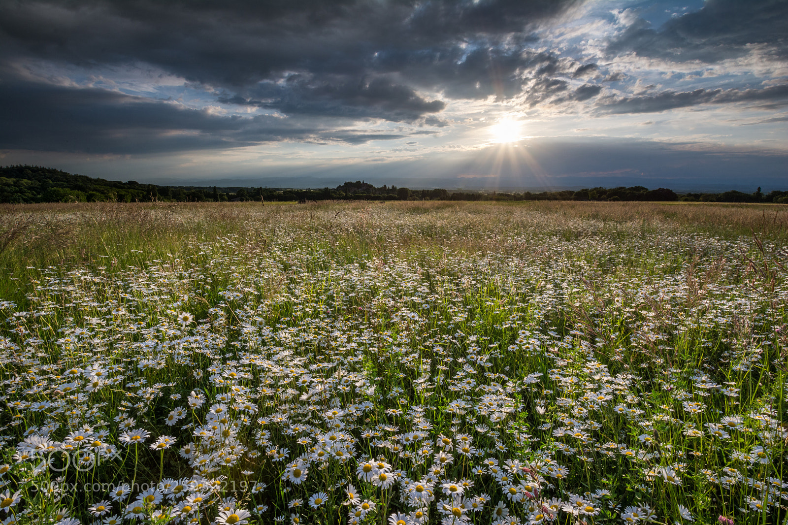 Nikon D7100 sample photo. Après l'orage photography