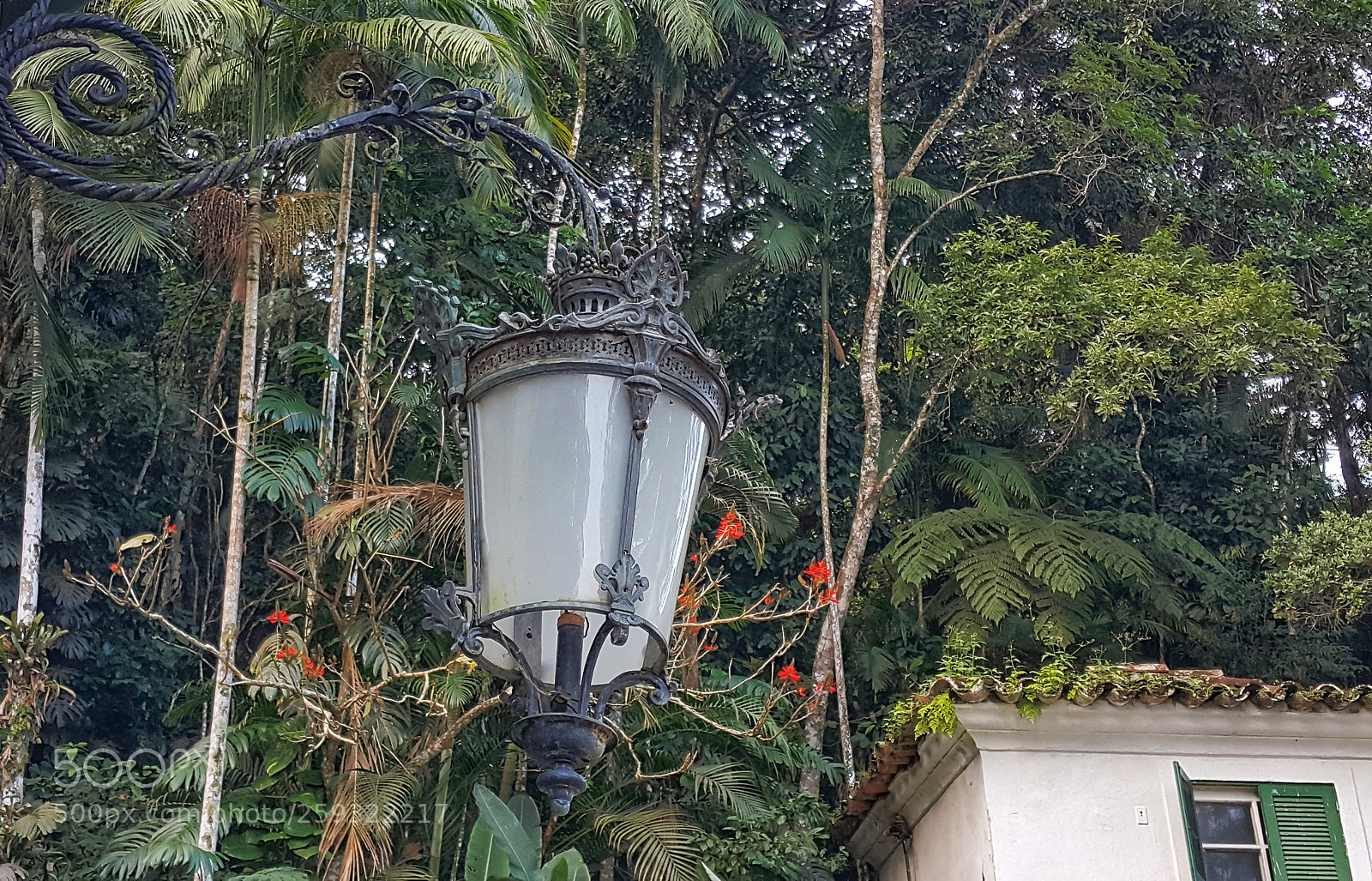 Samsung Galaxy Note4 sample photo. Untitled photography