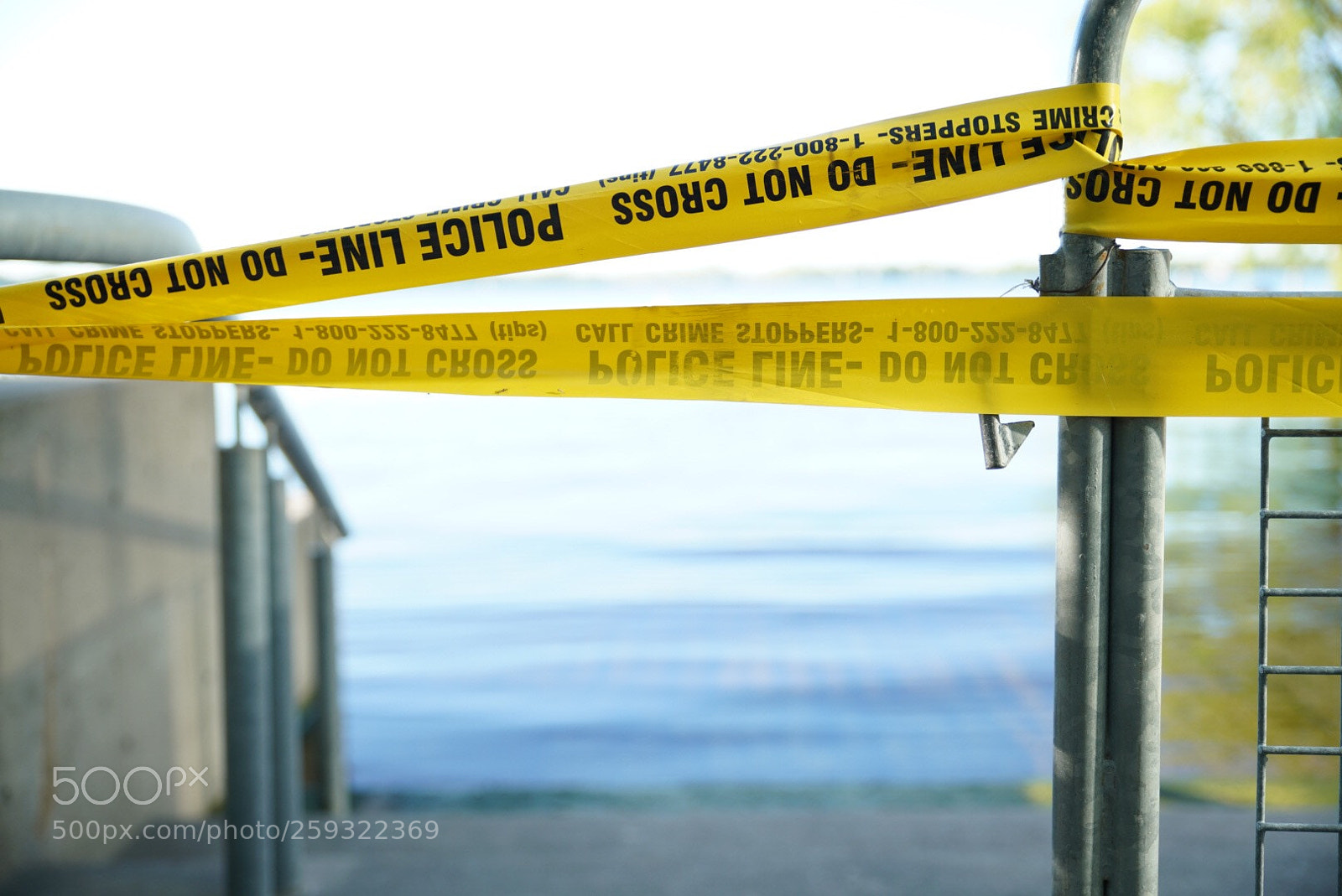 Sony a99 II sample photo. Untitled photography