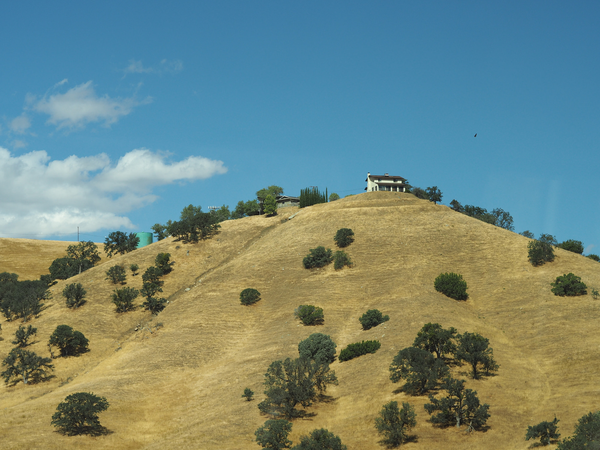 Olympus PEN E-PL7 sample photo. California photography