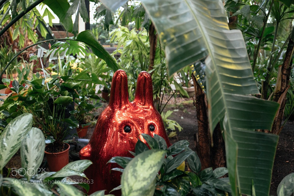 Canon EOS 6D Mark II sample photo. Untitled photography