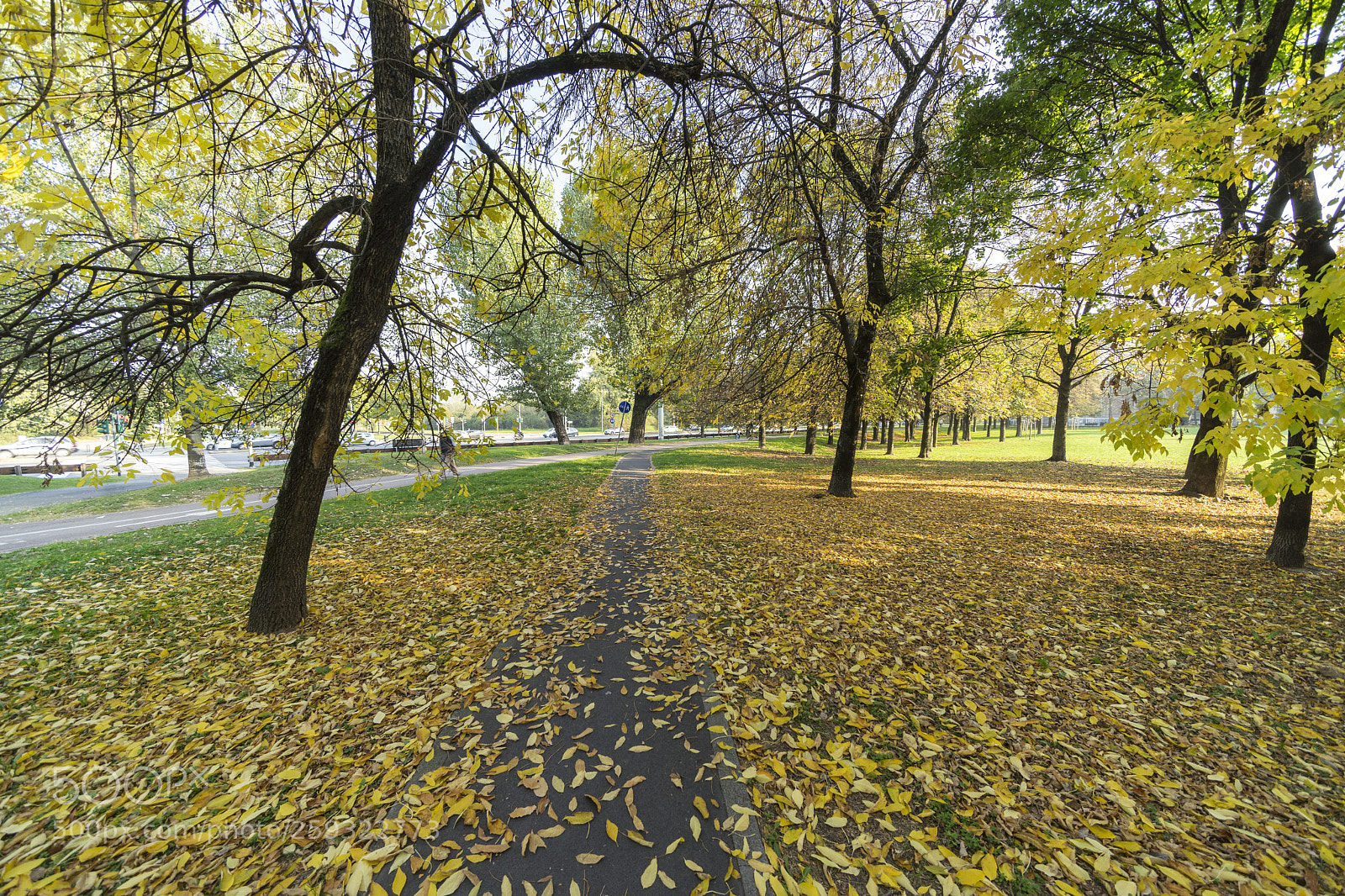 Sony a7 II sample photo. Parco nord in milan photography
