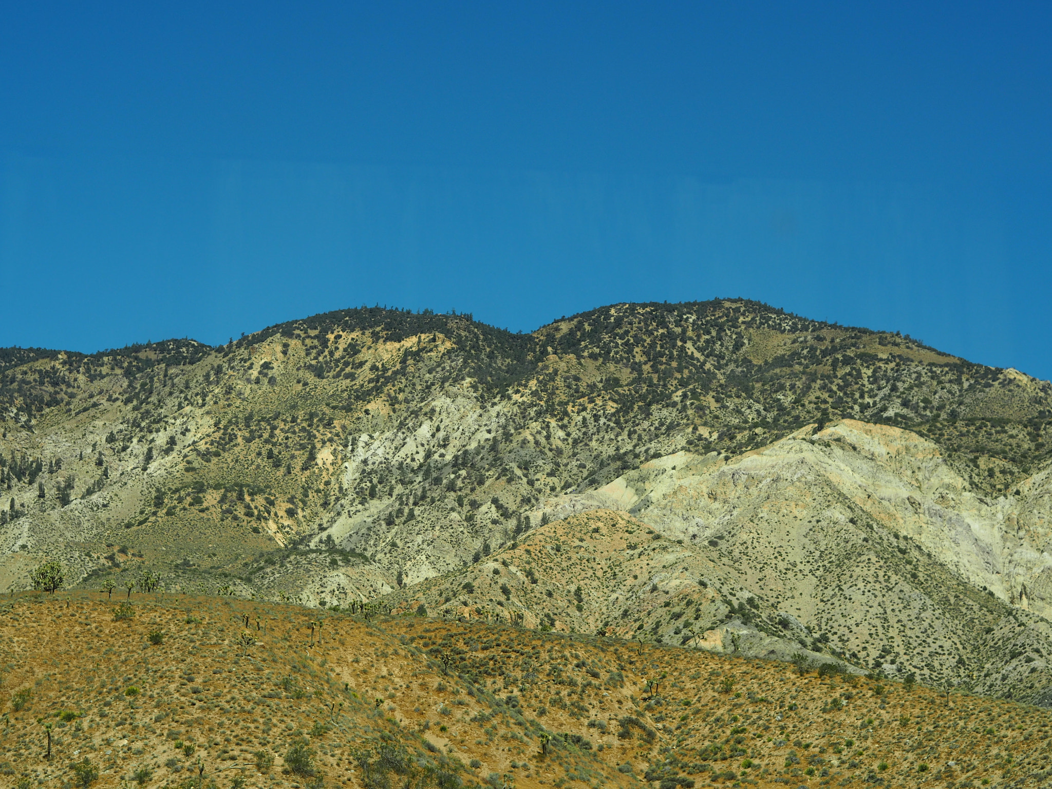 Olympus PEN E-PL7 sample photo. California photography