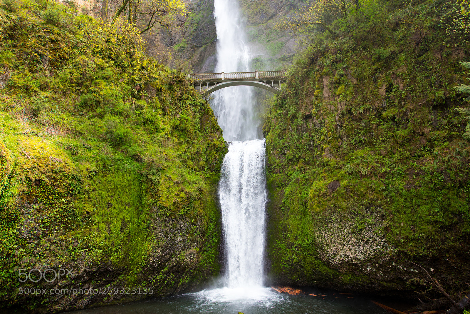Nikon D750 sample photo. Falls photography