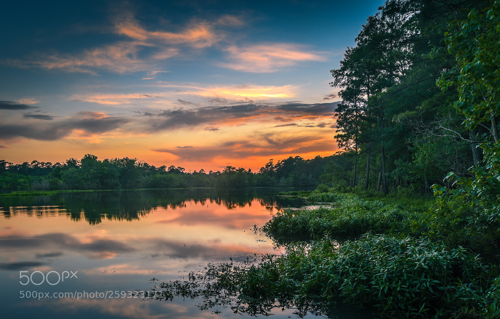 Nikon D750 sample photo. Bear branch summer sunset photography
