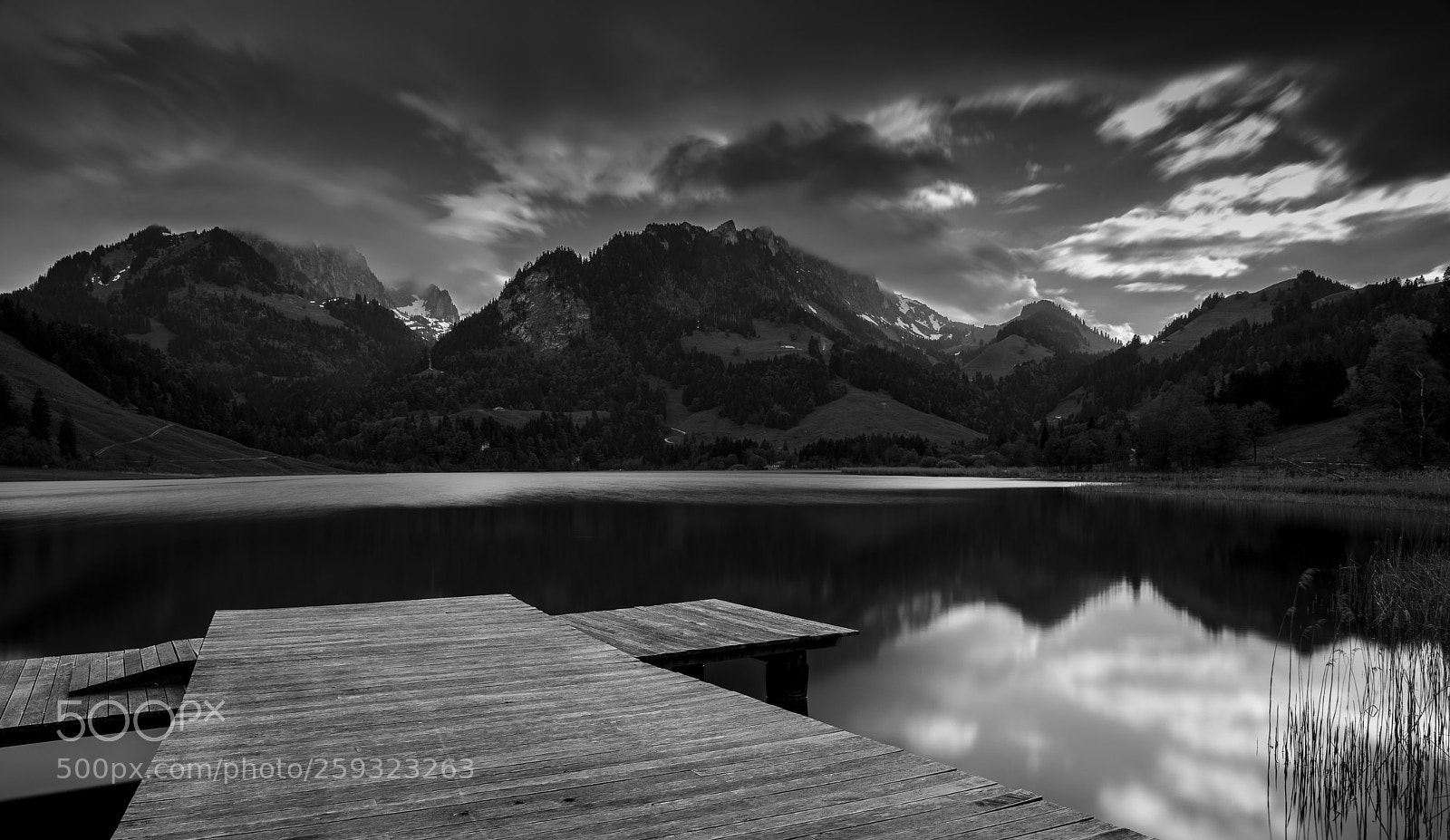 Canon EOS 5D Mark IV sample photo. Lac noir - mai 2018 photography