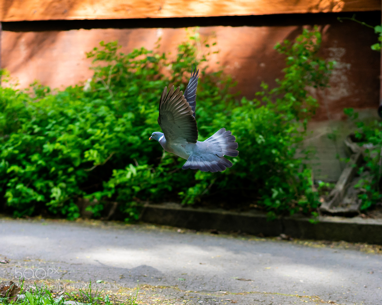 Sony a7 II sample photo. Take off. photography