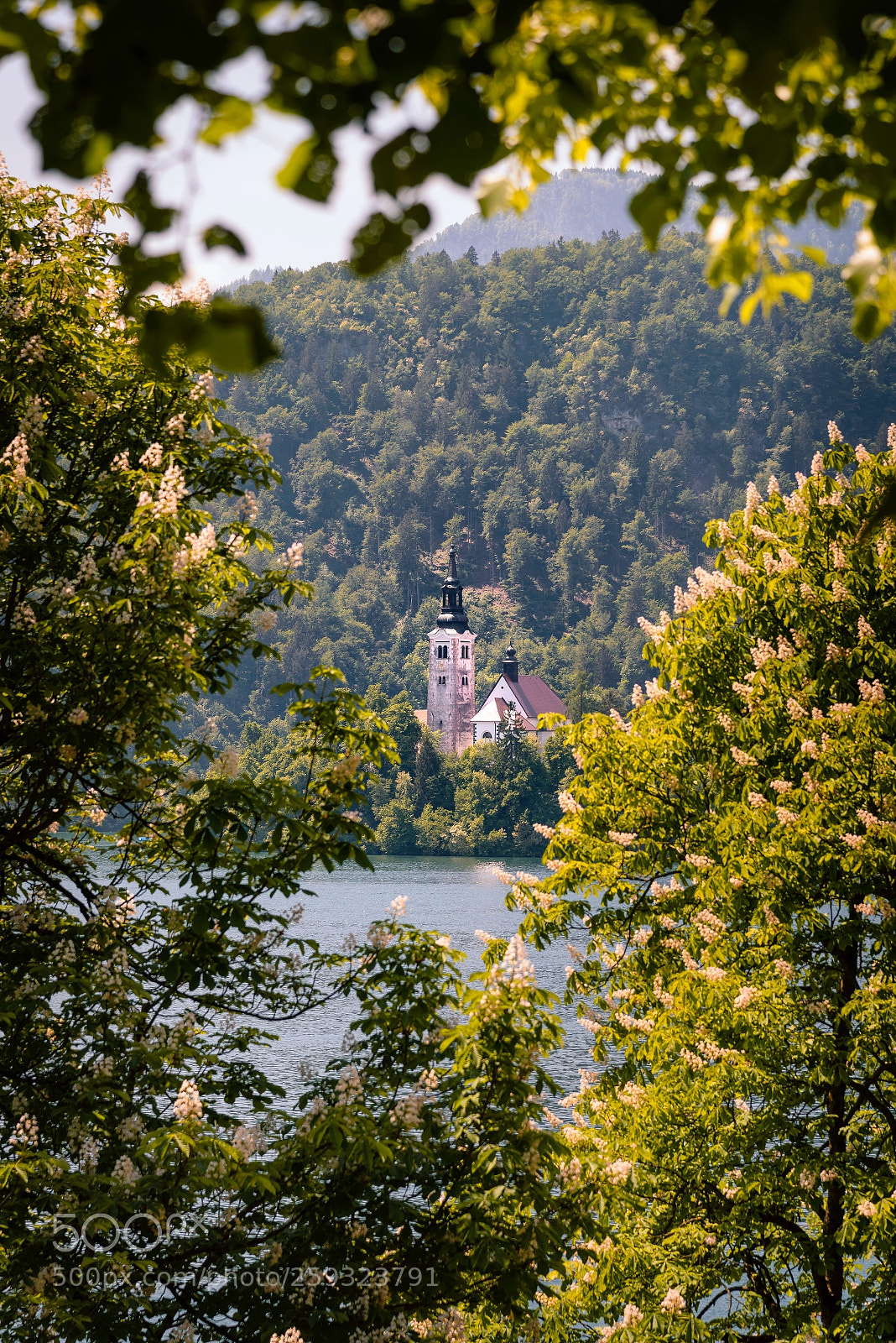 Nikon D610 sample photo. Bled photography