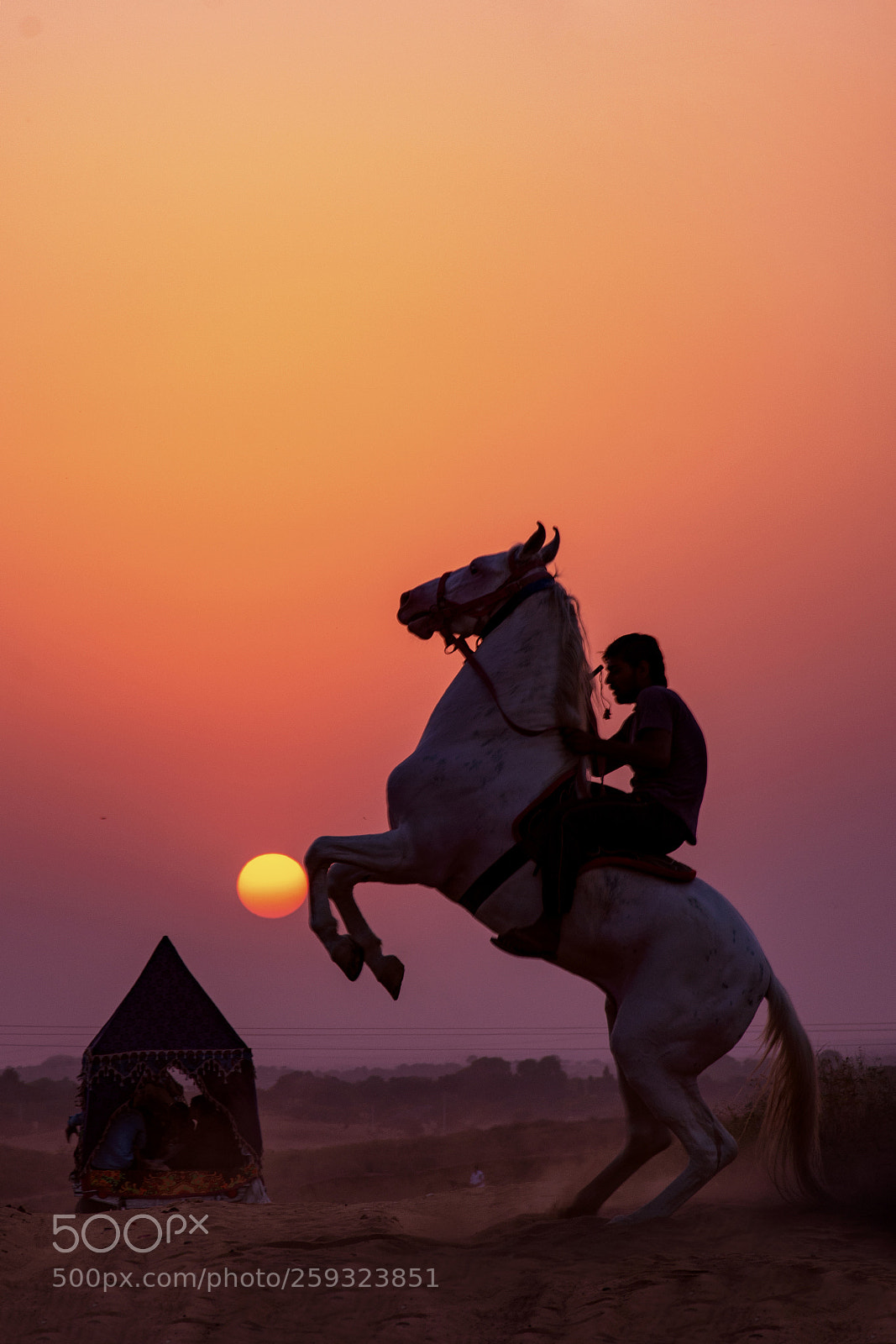 Nikon D7200 sample photo. Horse and sun photography