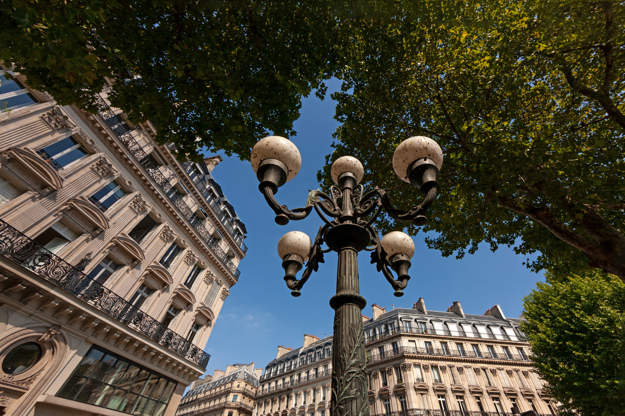 Canon EOS-1Ds Mark III sample photo. Multiple-armed street lamp in paris photography