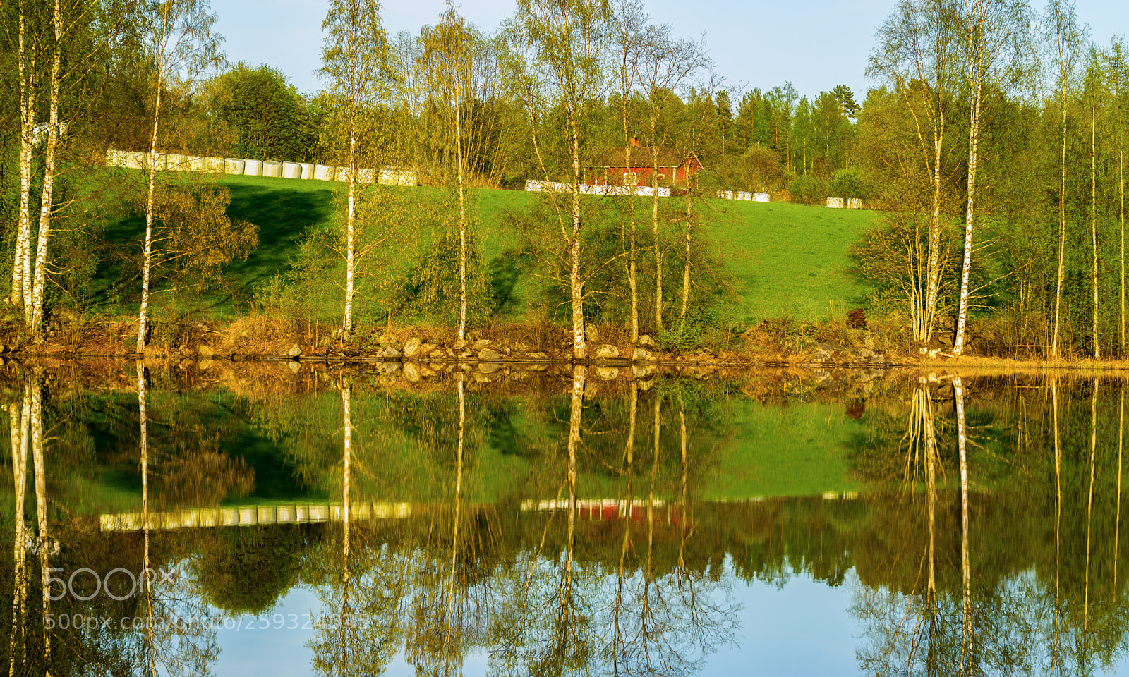 Nikon D600 sample photo. Farm reflection photography