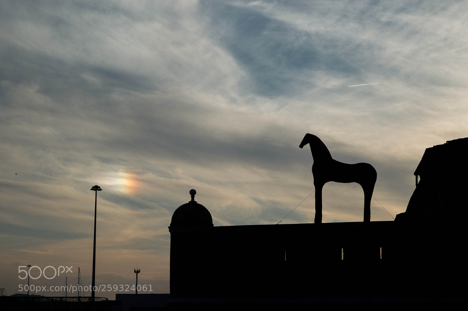 Nikon D3200 sample photo. Il cavallo di paladino photography