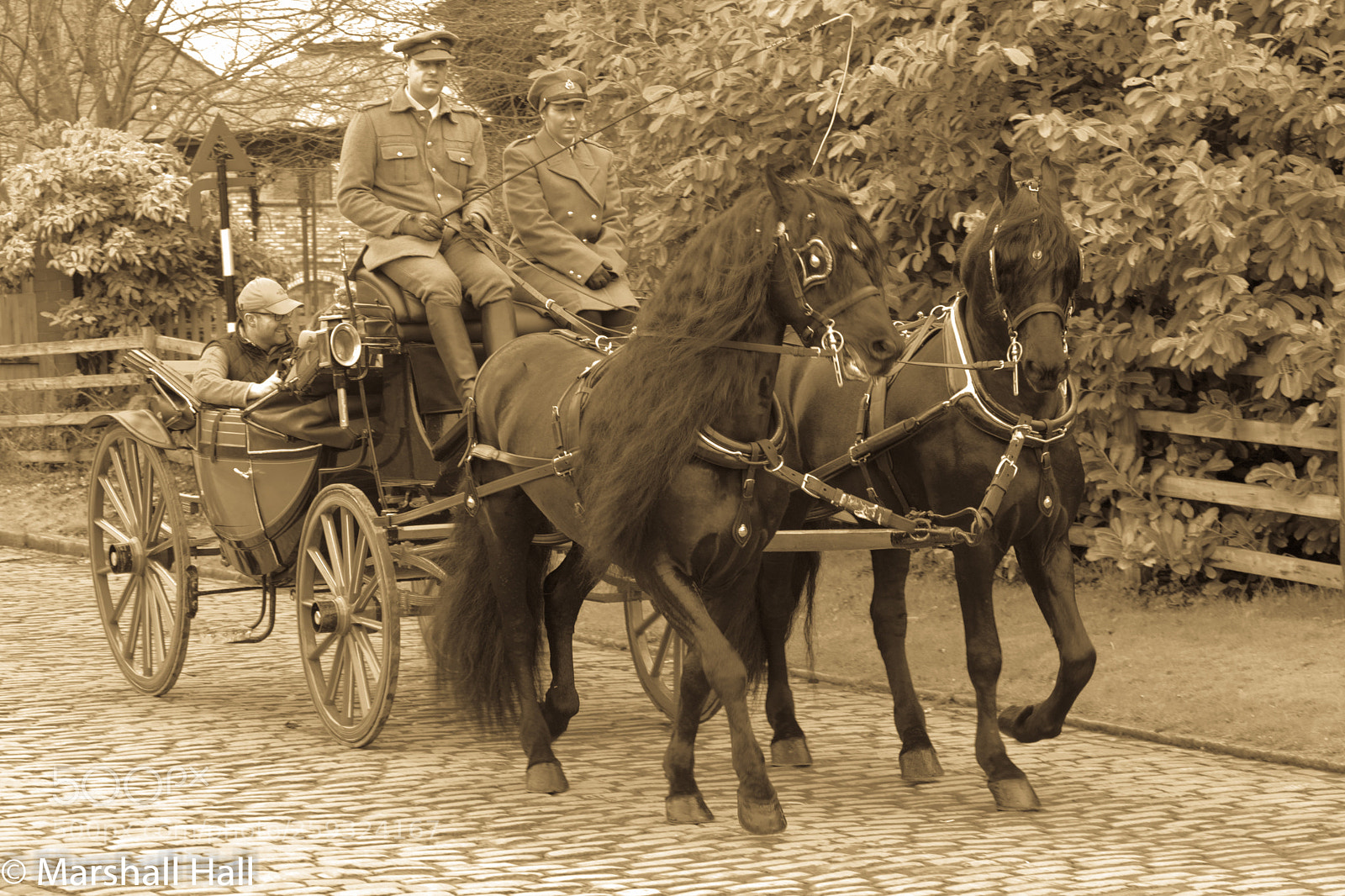 Nikon D7200 sample photo. Horse drawn carriage photography